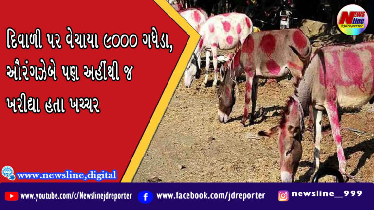 દિવાળી પર વેચાયા 9000 ગધેડા, ઔરંગઝેબે પણ અહીંથી જ ખરીદ્યા હતા ખચ્ચર દિવાળી પર વેચાયા 9000 ગધેડા, ઔરંગઝેબે પણ અહીંથી જ ખરીદ્યા હતા ખચ્ચર