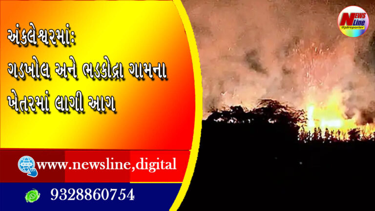 અંકલેશ્વરમાં : ગડખોલ અને ભડકોદ્રા ગામના ખેતરમાં લાગી આગ અંકલેશ્વરમાં : ગડખોલ અને ભડકોદ્રા ગામના ખેતરમાં લાગી આગ