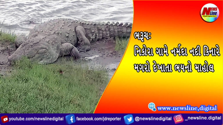 ભરૂચ: નિકોરા ગામે નર્મદા નદી કિનારે મગરો દેખાતા ભયનો માહોલ