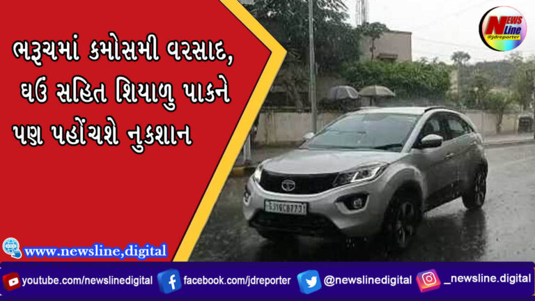 ભરૂચમાં કમોસમી વરસાદ, ઘઉં સહિત શિયાળુ પાકને પણ પહોંચશે નુકશાન