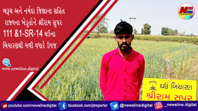 ભરૂચ અને નર્મદા જિલ્લાના સહિત રાજ્યના ખેડૂતોને શ્રીરામ સુપર 111 &1-SR-14 ઘઉંના બિયારણથી મળી વધારે ઉપજ ભરૂચ અને નર્મદા જિલ્લાના સહિત રાજ્યના ખેડૂતોને શ્રીરામ સુપર 111 &1-SR-14 ઘઉંના બિયારણથી મળી વધારે ઉપજ