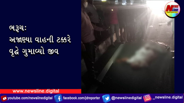 ભરૂચ: અજાણ્યા વાહની ટક્ક્રરે વૃદ્ધે ગુમાવ્યો જીવ ભરૂચ: અજાણ્યા વાહની ટક્ક્રરે વૃદ્ધે ગુમાવ્યો જીવ