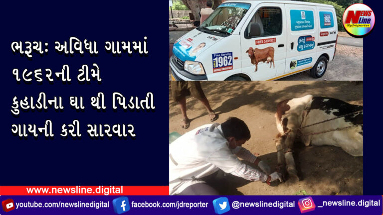 ભરૂચ: અવિધા ગામમાં 1962ની ટીમે કુહાડીના ઘા થી પિડાતી ગાયની કરી સારવાર ભરૂચ: અવિધા ગામમાં 1962ની ટીમે કુહાડીના ઘા થી પિડાતી ગાયની કરી સારવાર