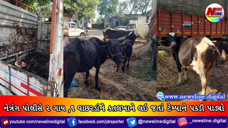 નેત્રંગ પોલીસે ૨ ગાય – ૧ વાછરડાંને કતલખાને લઇ જતાં ટેમ્પાને પકડી પાડ્યો નેત્રંગ પોલીસે ૨ ગાય – ૧ વાછરડાંને કતલખાને લઇ જતાં ટેમ્પાને પકડી પાડ્યો