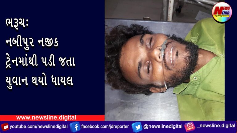 ભરૂચ: નબીપુર નજીક ટ્રેનમાંથી પડી જતા યુવાન થયો ધાયલ ભરૂચ: નબીપુર નજીક ટ્રેનમાંથી પડી જતા યુવાન થયો ધાયલ