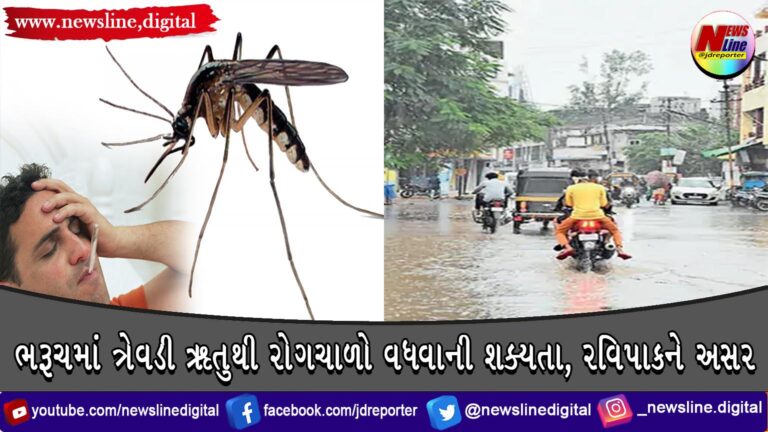 ભરૂચમાં ત્રેવડી ઋતુથી રોગચાળો વધવાની શક્યતા, રવિપાકને અસર ભરૂચમાં ત્રેવડી ઋતુથી રોગચાળો વધવાની શક્યતા, રવિપાકને અસર
