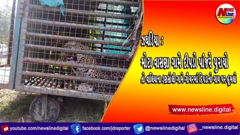 ઝઘડિયા : મોટા વાસણા ગામે દીપડો પાંજરે પુરાયો તો વાલિયાના ડણસોલી ગામે ગૌચરમાં દિપડાનો ગાય પર હૂમલો ઝઘડિયા : મોટા વાસણા ગામે દીપડો પાંજરે પુરાયો તો વાલિયાના ડણસોલી ગામે ગૌચરમાં દિપડાનો ગાય પર હૂમલો