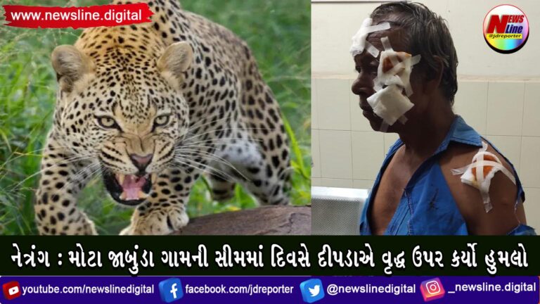 નેત્રંગ: મોટા જાબુંડા ગામની સીમમાં દિવસે દીપડાએ વૃદ્ધ ઉપર કર્યો હુમલો