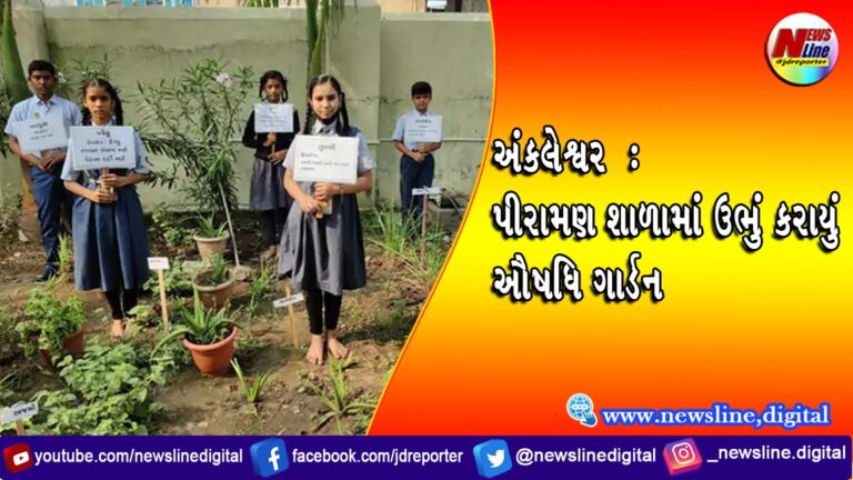 અંકલેશ્વર : પીરામણ શાળામાં ઉભું કરાયું ઔષધિ ગાર્ડન અંકલેશ્વર : પીરામણ શાળામાં ઉભું કરાયું ઔષધિ ગાર્ડન