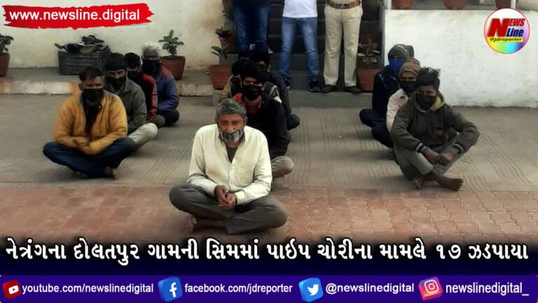 નેત્રંગના દોલતપુર ગામની સિમમાં પાઇપ ચોરીના મામલે ૧૭ ઝડપાયા નેત્રંગના દોલતપુર ગામની સિમમાં પાઇપ ચોરીના મામલે ૧૭ ઝડપાયા