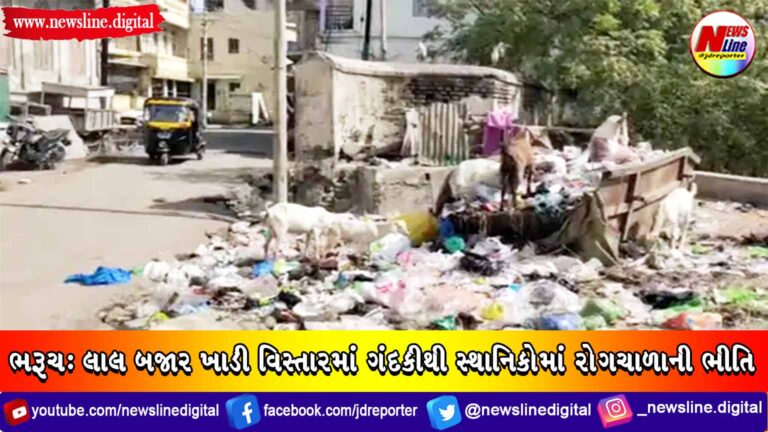 ભરૂચ : લાલ બજાર ખાડી વિસ્તારમાં ગંદકીથી સ્થાનિકોમાં રોગચાળાની ભીતિ ભરૂચ : લાલ બજાર ખાડી વિસ્તારમાં ગંદકીથી સ્થાનિકોમાં રોગચાળાની ભીતિ