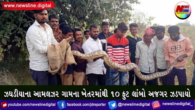 ઝઘડીયાના આમલઝર ગામના ખેતરમાંથી ૧૦ ફુટ લાંબો અજગર ઝડપાયો ઝઘડીયાના આમલઝર ગામના ખેતરમાંથી ૧૦ ફુટ લાંબો અજગર ઝડપાયો