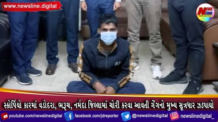 સ્કોર્પિયો કારમાં વડોદરા, ભરૂચ, નર્મદા જિલ્લામાં ચોરી કરવા આવતી ગેંગનો મુખ્ય સૂત્રધાર ઝડપાયો