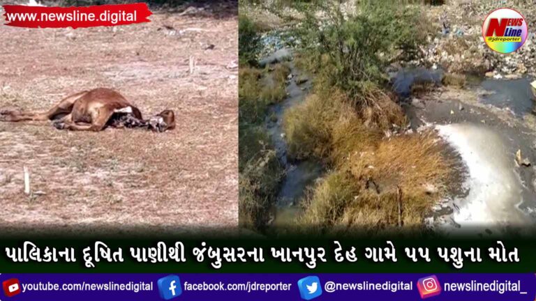 પાલિકાના દૂષિત પાણીથી જંબુસરના ખાનપુર દેહ ગામે ૫૫ પશુના મોત