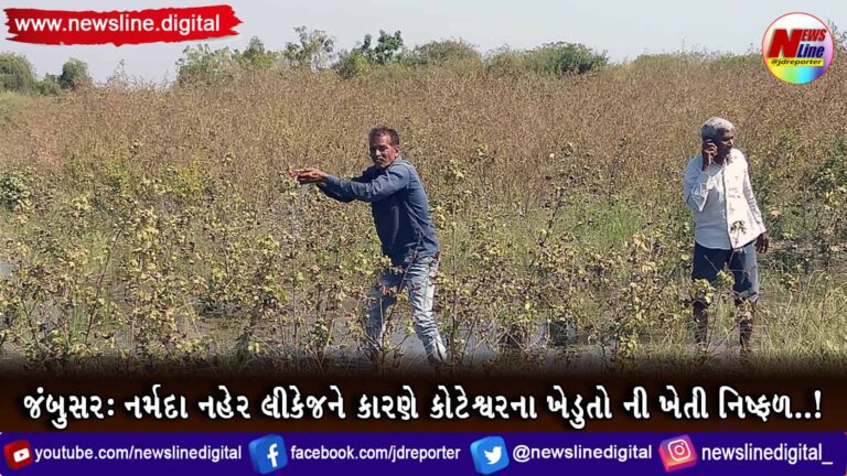 જંબુસર : નર્મદા નહેર લીકેજને કારણે કોટેશ્વરના ખેડુતો ની ખેતી નિષ્ફળ..! જંબુસર : નર્મદા નહેર લીકેજને કારણે કોટેશ્વરના ખેડુતો ની ખેતી નિષ્ફળ..!