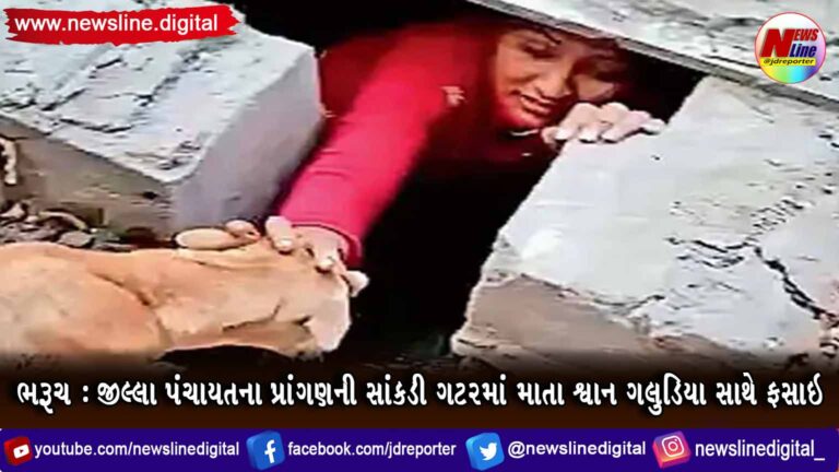 ભરૂચ : જીલ્લા પંચાયતના પ્રાંગણની સાંકડી ગટરમાં માતા શ્વાન ગલુડિયા સાથે ફસાઇ