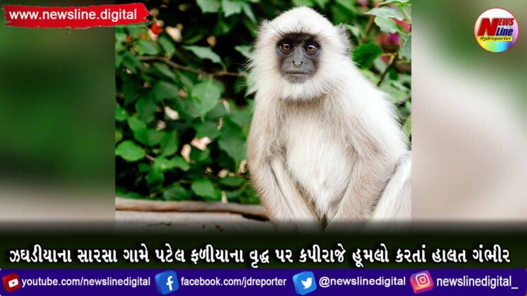 ઝઘડીયાના સારસા ગામે પટેલ ફળીયાના વૃદ્ધ પર કપીરાજે હૂમલો કરતાં હાલત ગંભીર ઝઘડીયાના સારસા ગામે પટેલ ફળીયાના વૃદ્ધ પર કપીરાજે હૂમલો કરતાં હાલત ગંભીર