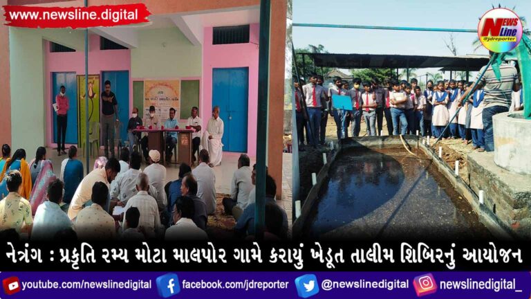 નેત્રંગ : પ્રકૃતિ રમ્ય મોટા માલપોર ગામે કરાયું ખેડૂત તાલીમ શિબિરનું આયોજન નેત્રંગ : પ્રકૃતિ રમ્ય મોટા માલપોર ગામે કરાયું ખેડૂત તાલીમ શિબિરનું આયોજન