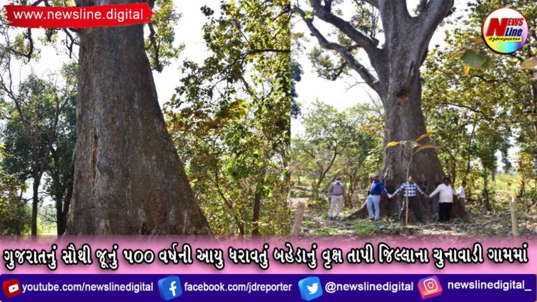 ગુજરાતનું સૌથી જૂનું ૫૦૦ વર્ષની આયુ ધરાવતું બહેડાનું વૃક્ષ તાપી જિલ્લાના ચુનાવાડી ગામમાં ગુજરાતનું સૌથી જૂનું ૫૦૦ વર્ષની આયુ ધરાવતું બહેડાનું વૃક્ષ તાપી જિલ્લાના ચુનાવાડી ગામમાં