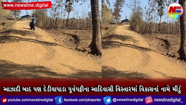 આઝાદી બાદ પણ દેડીયાપાડા પૂર્વપટ્ટીના આદિવાસી વિસ્તારમાં વિકાસનાં નામે મીંડું આઝાદી બાદ પણ દેડીયાપાડા પૂર્વપટ્ટીના આદિવાસી વિસ્તારમાં વિકાસનાં નામે મીંડું