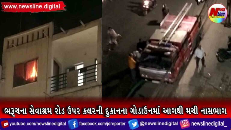 ભરૂચના સેવાશ્રમ રોડ ઉપર કલરની દુકાનના ગોડાઉનમાં આગથી મચી નાસભાગ ભરૂચના સેવાશ્રમ રોડ ઉપર કલરની દુકાનના ગોડાઉનમાં આગથી મચી નાસભાગ