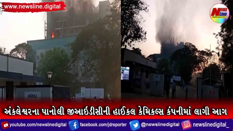 અંકલેશ્વરના પાનોલી જીઆઇડીસીની હાઈકલ કેમિકલ્સ કંપનીમાં લાગી આગ