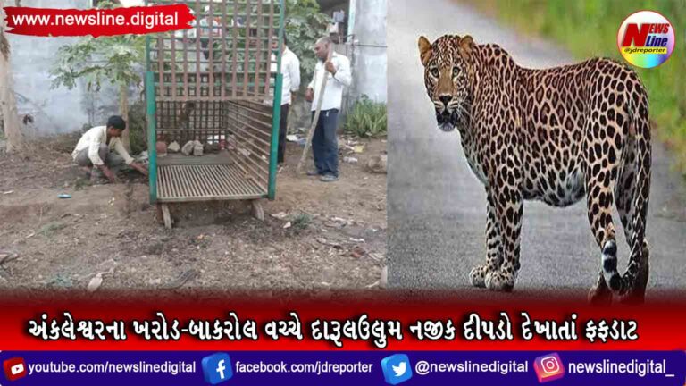 અંકલેશ્વરના ખરોડ -બાકરોલ વચ્ચે દારૂલઉલુમ નજીક દીપડો દેખાતાં ફફડાટ અંકલેશ્વરના ખરોડ -બાકરોલ વચ્ચે દારૂલઉલુમ નજીક દીપડો દેખાતાં ફફડાટ