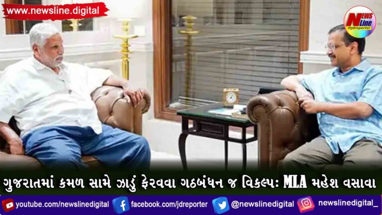 ગુજરાતમાં કમળ સામે ઝાડું ફેરવવા ગઠબંધન જ વિકલ્પ : MLA મહેશ વસાવા ગુજરાતમાં કમળ સામે ઝાડું ફેરવવા ગઠબંધન જ વિકલ્પ : MLA મહેશ વસાવા