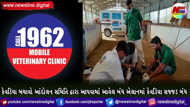 ભરૂચની પશુ દવાખાનાની ટીમે કાકડકુઈ ગામે ગાયનું ઓપરેશન કરી પીડામાંથી અપાવી મુક્તિ