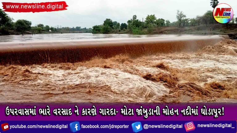 ઉપરવાસમાં ભારે વરસાદ ને કારણે ગારદા- મોટા જાંબુડાની મોહન નદીમાં ઘોડાપૂર! ઉપરવાસમાં ભારે વરસાદ ને કારણે ગારદા- મોટા જાંબુડાની મોહન નદીમાં ઘોડાપૂર!