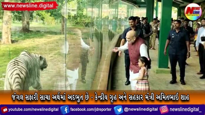 amit shah