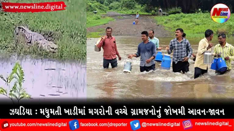 ઝઘડિયા : મધુમતી ખાડીમાં મગરોની વચ્ચે ગ્રામજનોનું જોખમી આવન-જાવન ઝઘડિયા : મધુમતી ખાડીમાં મગરોની વચ્ચે ગ્રામજનોનું જોખમી આવન-જાવન