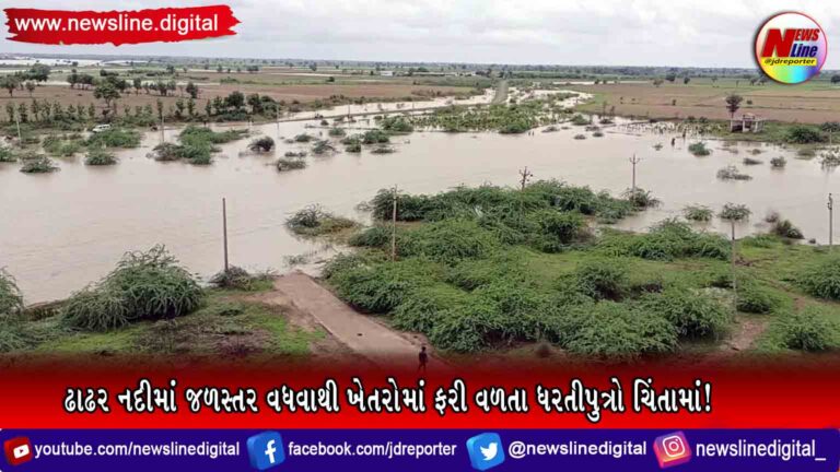 ઢાઢર નદીમાં જળસ્તર વધવાથી ખેતરોમાં ફરી વળતા ધરતીપુત્રો ચિંતામાં !