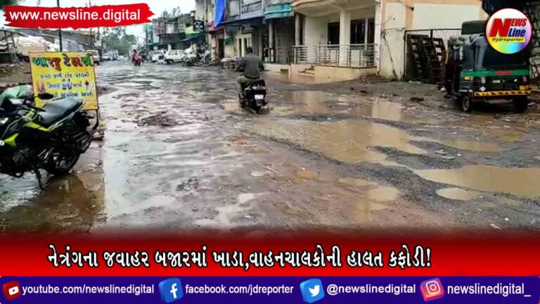 નેત્રંગના જવાહર બજારમાં ખાડા,વાહનચાલકોની હાલત કફોડી! નેત્રંગના જવાહર બજારમાં ખાડા,વાહનચાલકોની હાલત કફોડી!