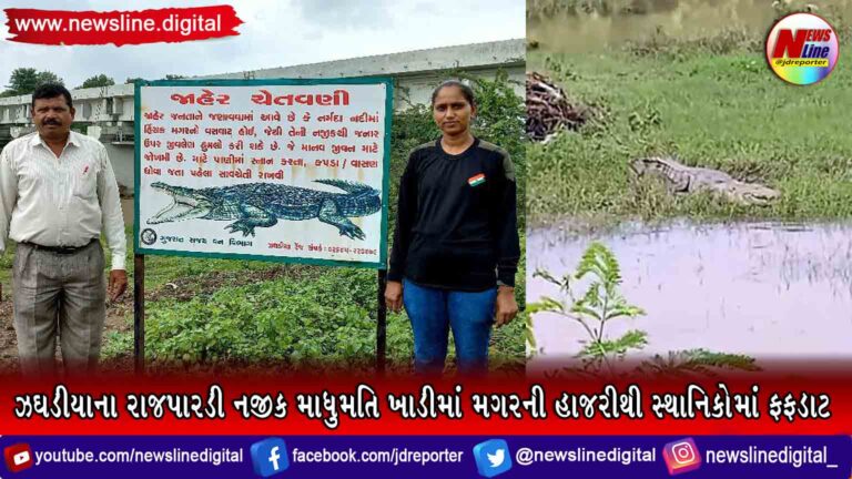 ઝઘડીયાના રાજપારડી નજીક માધુમતિ ખાડીમાં મગરની હાજરીથી સ્થાનિકોમાં ફફડાટ