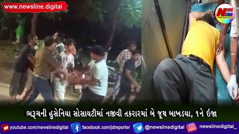 ભરૂચની હુસેનિયા સોસાયટીમાં નજીવી તકરારમાં બે જૂથ બાખડયા, ૧ને ઇજા
