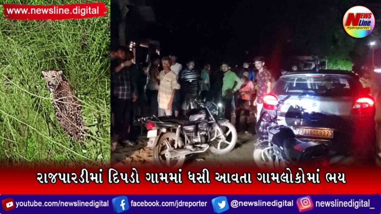 રાજપારડીમાં દિપડો ગામમાં ધસી આવતા ગામલોકોમાં ભય રાજપારડીમાં દિપડો ગામમાં ધસી આવતા ગામલોકોમાં ભય