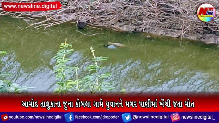 આમોદ તાલુકાના જુના કોબલા ગામે યુવાનને મગર પાણીમાં ખેંચી જતા મોત આમોદ તાલુકાના જુના કોબલા ગામે યુવાનને મગર પાણીમાં ખેંચી જતા મોત