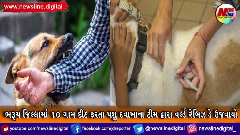 ભરૂચ જિલ્લામાં 10 ગામ દીઠ ફરતા પશુ દવાખાના ટીમ દ્વારા વર્લ્ડ રેબિઝ ડે ઉજવાયો ભરૂચ જિલ્લામાં 10 ગામ દીઠ ફરતા પશુ દવાખાના ટીમ દ્વારા વર્લ્ડ રેબિઝ ડે ઉજવાયો