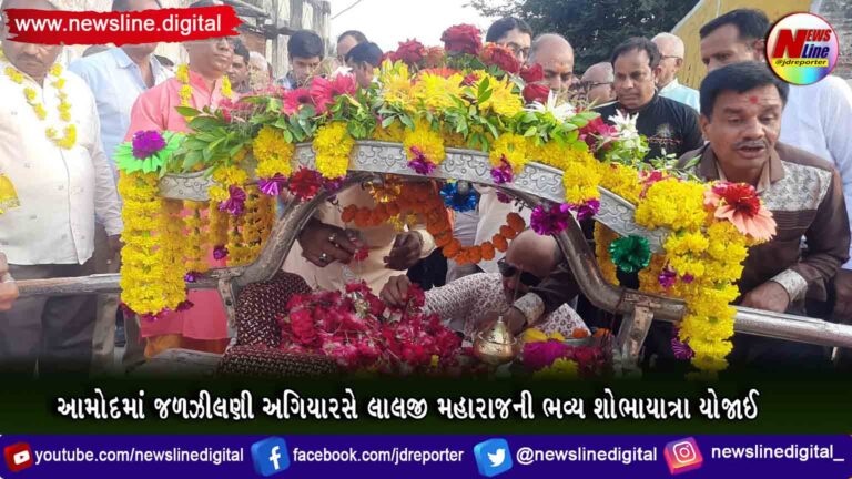 આમોદમાં જળઝીલણી અગિયારસે લાલજી મહારાજની ભવ્ય શોભાયાત્રા યોજાઈ આમોદમાં જળઝીલણી અગિયારસે લાલજી મહારાજની ભવ્ય શોભાયાત્રા યોજાઈ