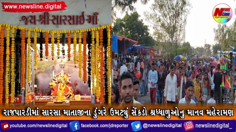 રાજપારડીમાં સારસા માતાજીના ડુંગરે ઉમટ્યું સેંકડો શ્રધ્ધાળુઓનુ માનવ મહેરામણ રાજપારડીમાં સારસા માતાજીના ડુંગરે ઉમટ્યું સેંકડો શ્રધ્ધાળુઓનુ માનવ મહેરામણ