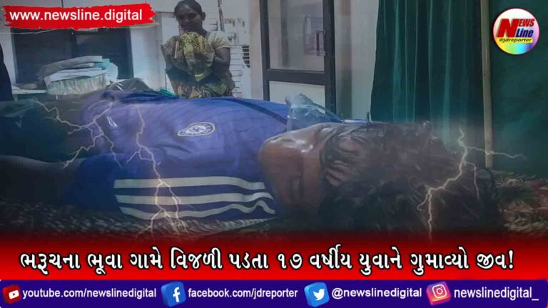 ભરૂચના ભૂવા ગામે વિજળી પડતા ૧૭ વર્ષીય યુવાને ગુમાવ્યો જીવ! ભરૂચના ભૂવા ગામે વિજળી પડતા ૧૭ વર્ષીય યુવાને ગુમાવ્યો જીવ!