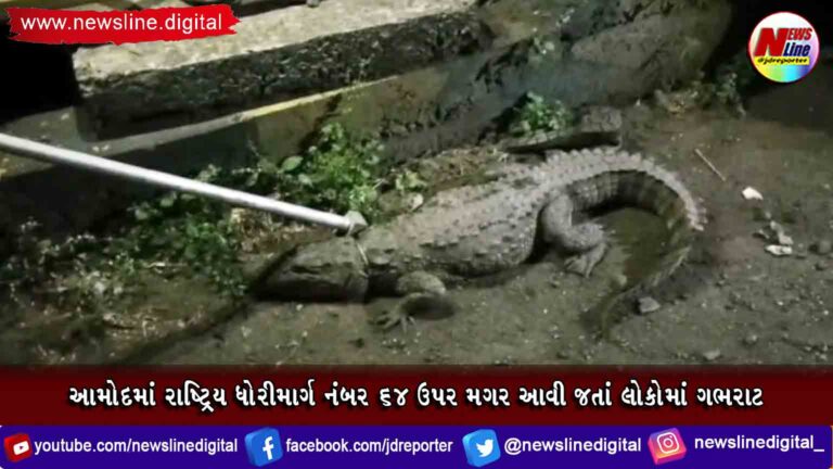 આમોદમાં રાષ્ટ્રિય ધોરીમાર્ગ નંબર ૬૪ ઉપર મગર આવી જતાં લોકોમાં ગભરાટ આમોદમાં રાષ્ટ્રિય ધોરીમાર્ગ નંબર ૬૪ ઉપર મગર આવી જતાં લોકોમાં ગભરાટ