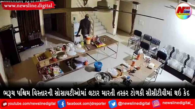 ભરૂચ પશ્ચિમ વિસ્તારની સોસાયટીઓમાં લટાર મારતી તસ્કર ટોળકી સીસીટીવીમાં થઇ કેદ ભરૂચ પશ્ચિમ વિસ્તારની સોસાયટીઓમાં લટાર મારતી તસ્કર ટોળકી સીસીટીવીમાં થઇ કેદ