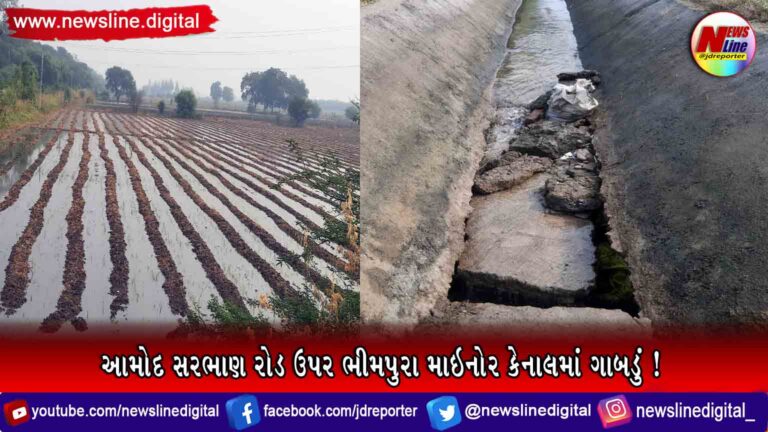 આમોદ સરભાણ રોડ ઉપર ભીમપુરા માઇનોર કેનાલમાં ગાબડું ! આમોદ સરભાણ રોડ ઉપર ભીમપુરા માઇનોર કેનાલમાં ગાબડું !