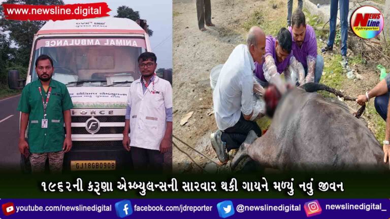 ૧૯૬૨ની કરૂણા એમ્બ્યુલન્સની સારવાર થકી ગાયને મળ્યું નવું જીવન ૧૯૬૨ની કરૂણા એમ્બ્યુલન્સની સારવાર થકી ગાયને મળ્યું નવું જીવન