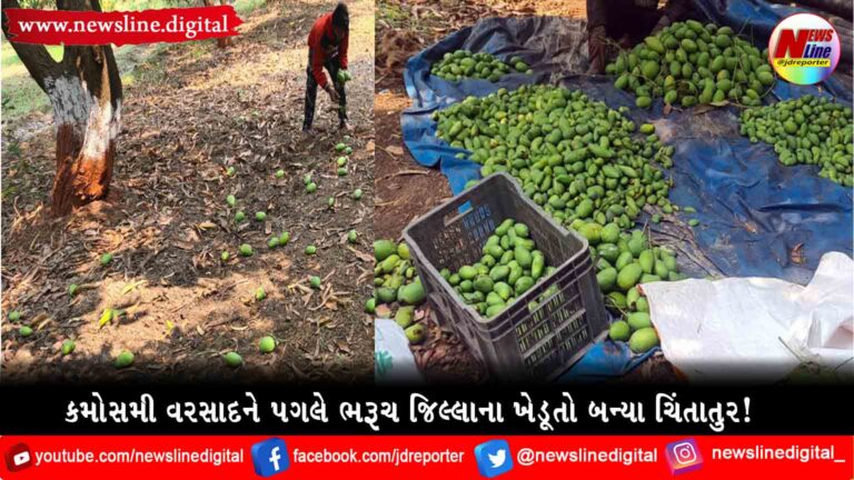 કમોસમી વરસાદને પગલે ભરૂચ જિલ્લાના ખેડૂતો બન્યા ચિંતાતુર! કમોસમી વરસાદને પગલે ભરૂચ જિલ્લાના ખેડૂતો બન્યા ચિંતાતુર!