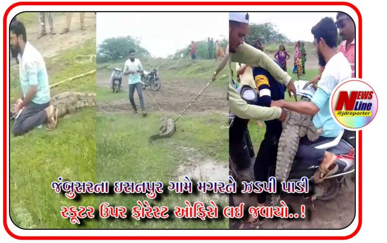 જંબુસરના ઇસનપુર ગામે મગરને ઝડપી પાડી સ્કૂટર ઉપર ફોરેસ્ટ ઓફિસે લઈ જવાયો..! જંબુસરના ઇસનપુર ગામે મગરને ઝડપી પાડી સ્કૂટર ઉપર ફોરેસ્ટ ઓફિસે લઈ જવાયો..!