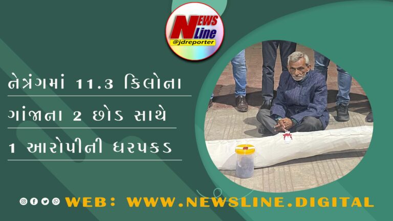 નેત્રંગમાં 11.3 કિલોના ગાંજાના 2 છોડ સાથે 1 આરોપીની ધરપકડ નેત્રંગમાં 11.3 કિલોના ગાંજાના 2 છોડ સાથે 1 આરોપીની ધરપકડ