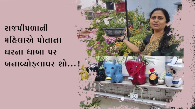 રાજપીપળા ની મહિલાએ પોતાના ઘરના ધાબા પર ફ્લાવર શો બનાવ્યો રાજપીપળા ની મહિલાએ પોતાના ઘરના ધાબા પર ફ્લાવર શો બનાવ્યો